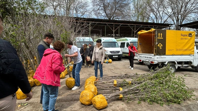 В Алматы продолжаются работы в рамках республиканской программы “Таза Қазақстан“